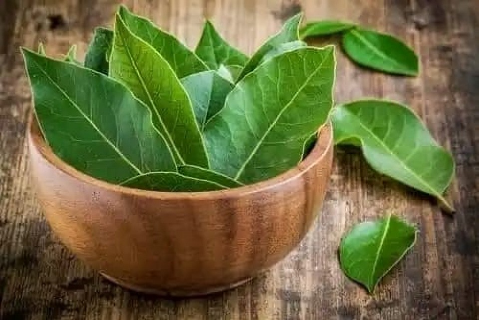 Above 4 months abortion Port Elizabeth Kampala road uganda